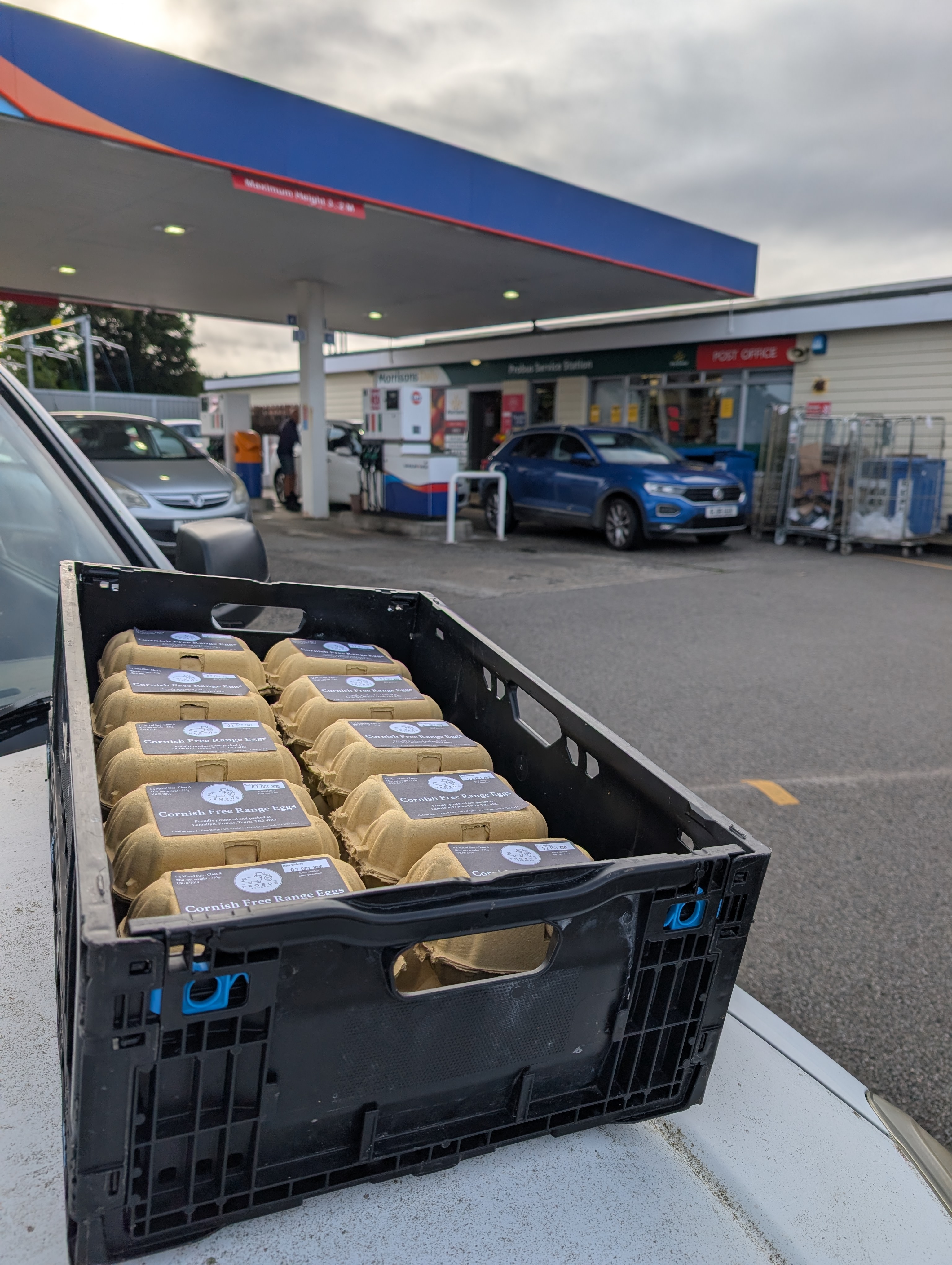 new-coops-long-drives-and-eggs-back-on-the-shelves photo 4